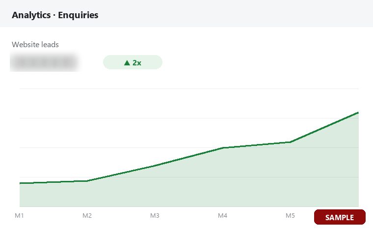 Analytics chart: website leads doubled