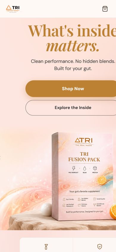 The Real Inside website on mobile